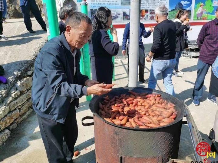 南山山村办起蜜薯丰收节，村民增收又致富