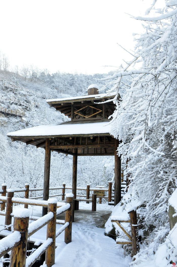 雪落冬藏！九如山迎来鹅毛大雪，银装素裹美如画
