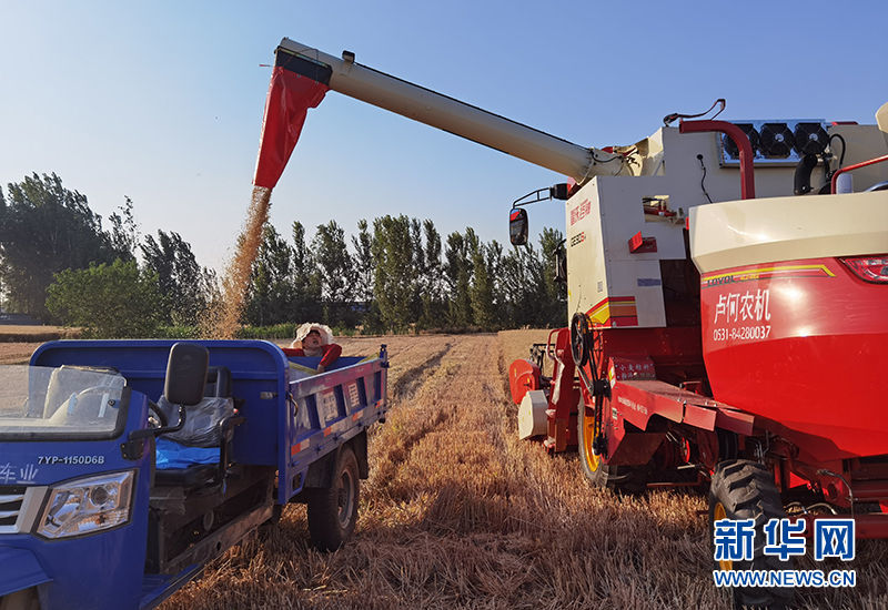 新华社点赞济南乡村振兴：数字化管理提质增效，村民“云端”拥抱新生活