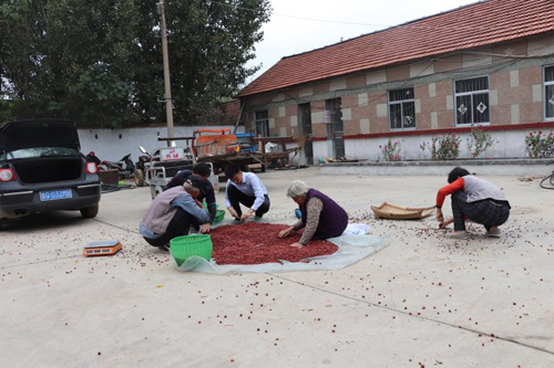 莒南党建引领网格化社会治理！实现与基层微治理良性互动