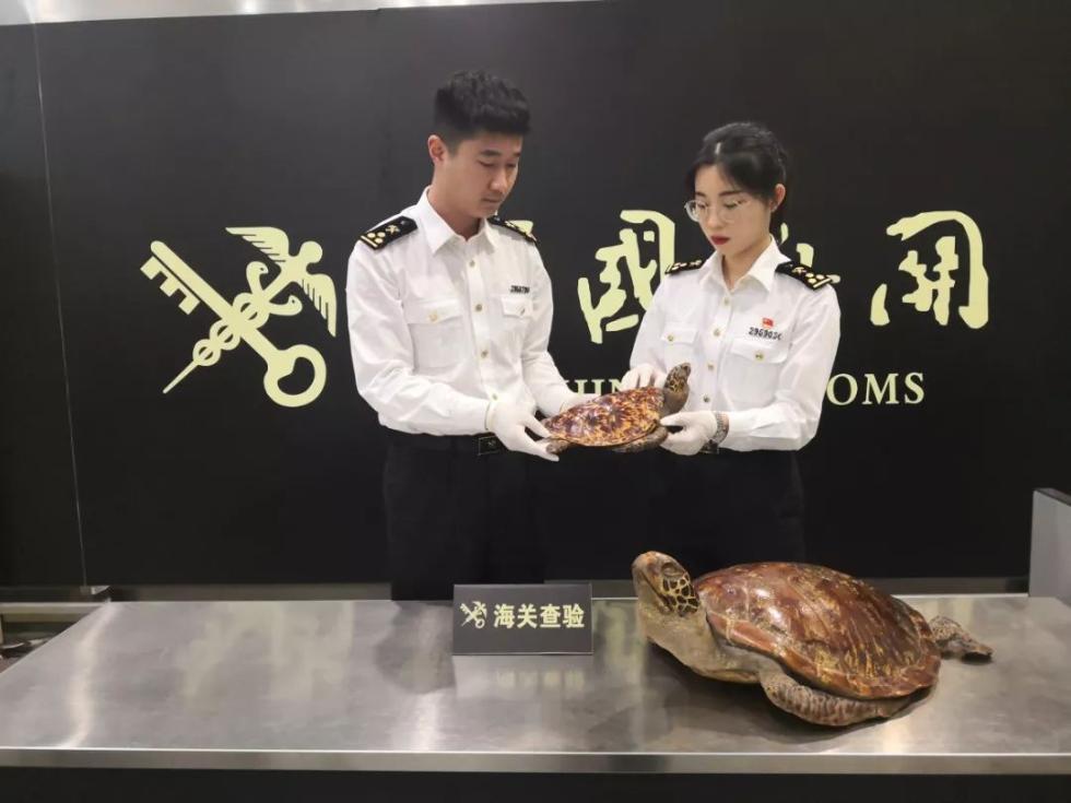 重要提醒！暑期出境玩，千万别买这些带回来！