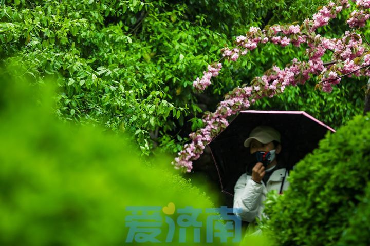 斜风细雨 水泛涟漪 雨中的五龙潭如诗如画