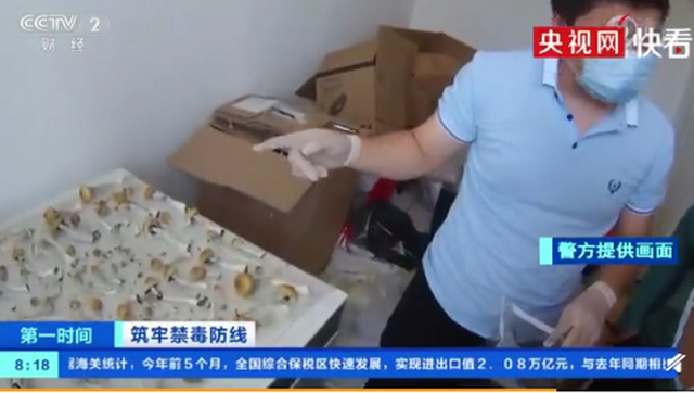 央视曝致幻毒品蘑菇伪装成巧克力免费试吃打开毒品销路
