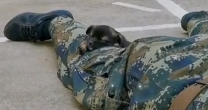 萌萌哒！狗子偷亲趴地训练兵哥哥，兵哥哥真的不敢动