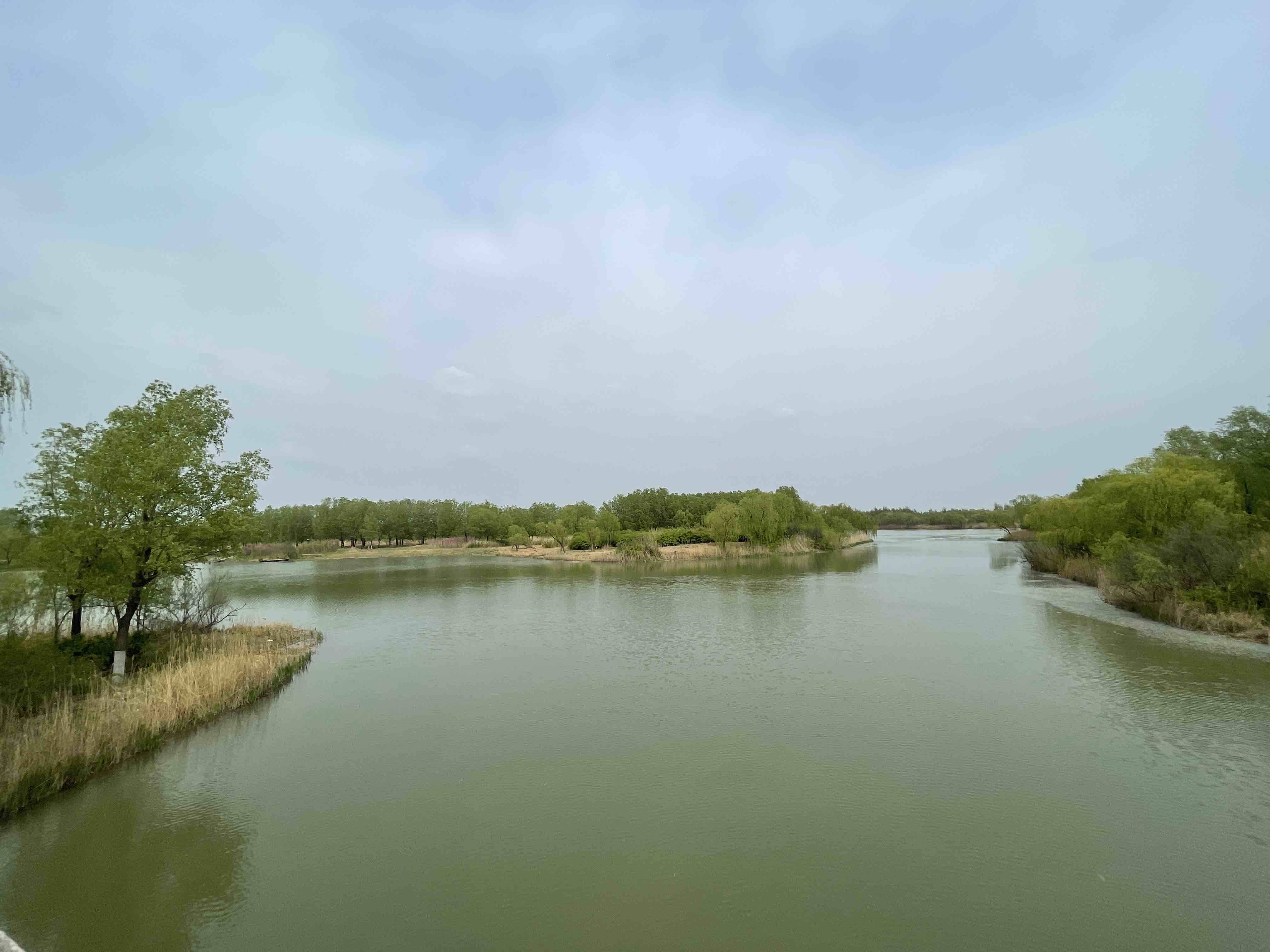 注意防护！扬沙浮尘天气又来了