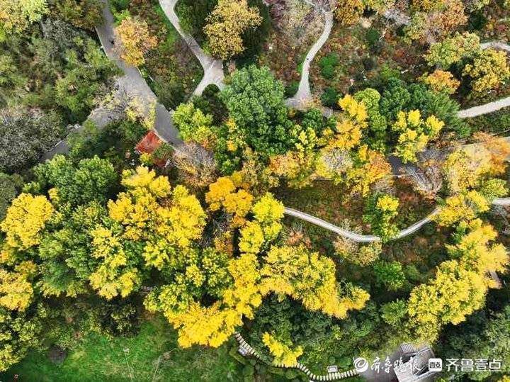 深秋时节泉城公园，色彩斑斓