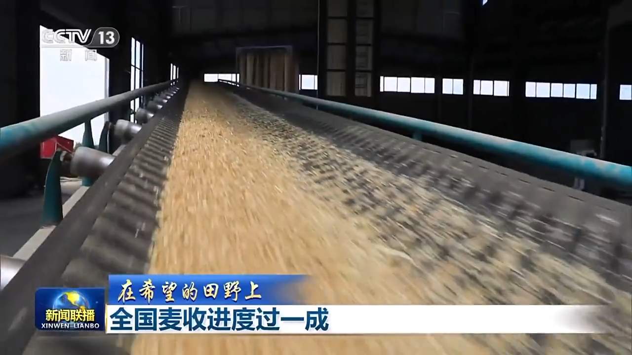 4300多万亩!全国麦收进度超10%