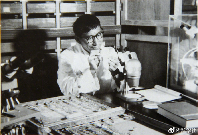 致敬！为了防治疟疾86岁老人研究蚊子70年