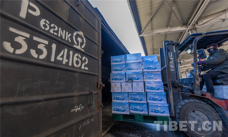 湖北加油！西藏筹集价值850万的天然饮用水和牦牛肉驰援湖北