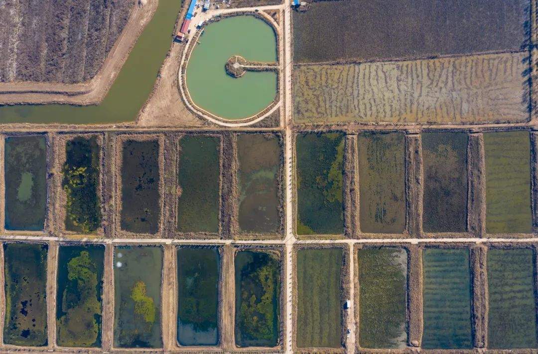 “我的家乡特产，难道特地瞒着我产？”