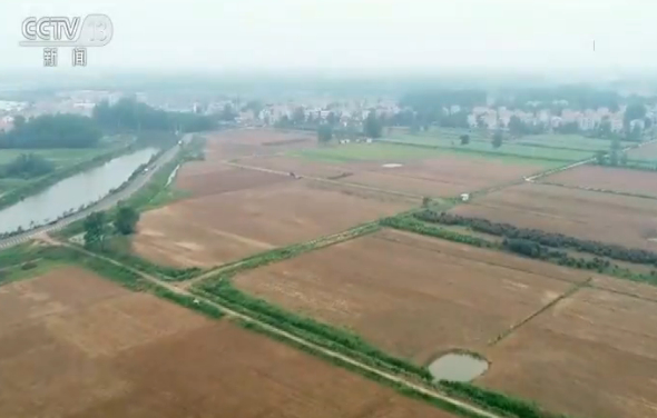 【毫不放松防反弹】湖北：加强疫情防控 保障农业生产