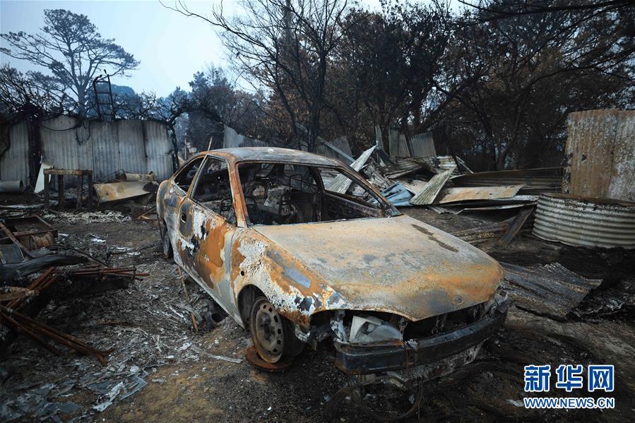 澳大利亚：探访林火过后的村庄