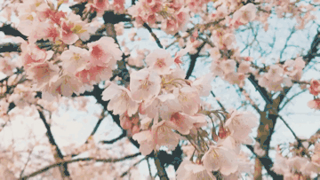 (j)@Щ^(q)_ȫ@ָ