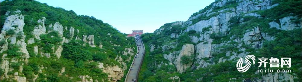 科技赋能产业，创新引领未来！十分钟认识新山东