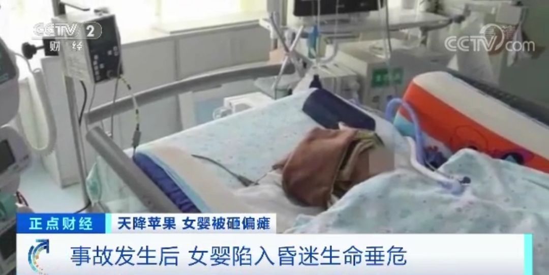 11岁女童24楼扔下苹果，砸中女婴致十级伤残！谁来赔？