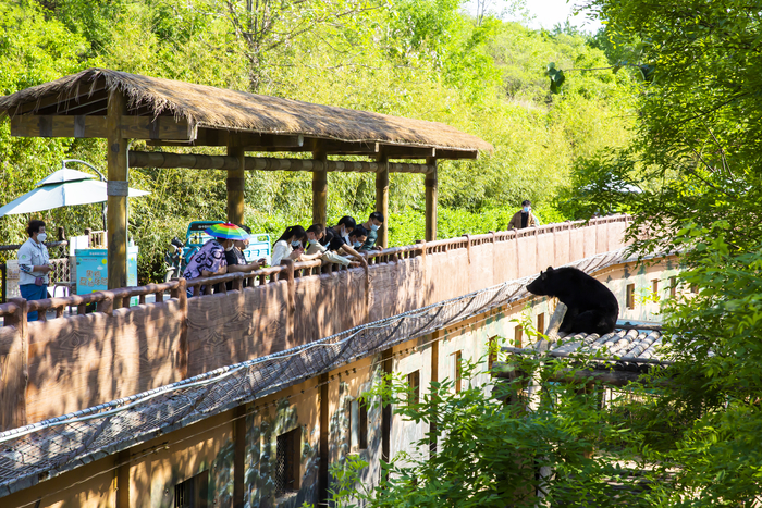 2022年省级文明旅游示范单位评选揭晓 济南市3家单位榜上有名