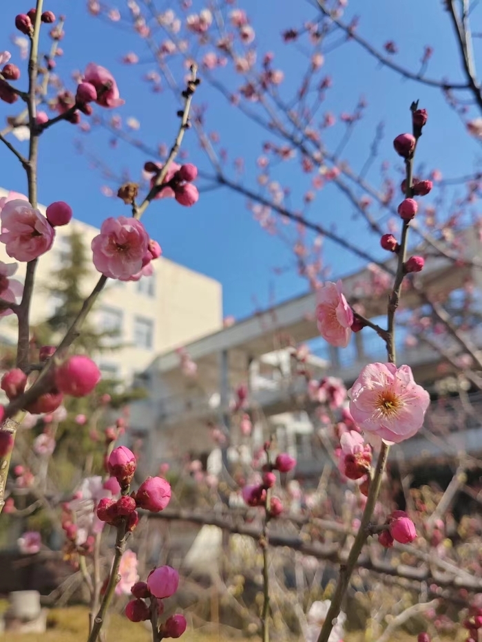 雨水节气，历城一中传统文化教育这样诗意