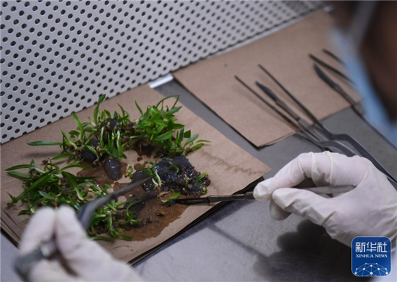 第二个国家植物园来了！华南国家植物园揭牌