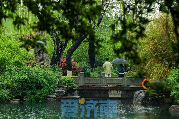 斜风细雨 水泛涟漪 雨中的五龙潭如诗如画