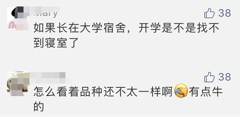 女子被家里蘑菇吓哭：一下子冒出来七八个菇