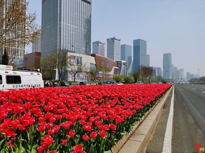 四月来济南一起走花路！打卡赏花路线get