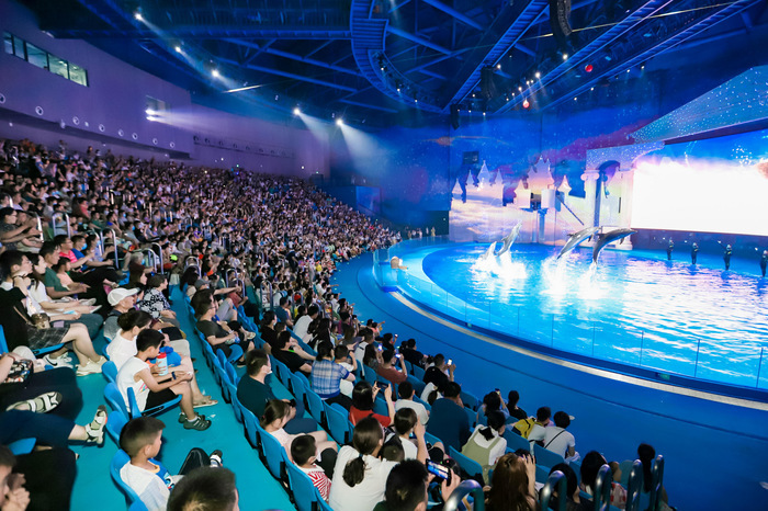 济南端午节玩出“新花样”