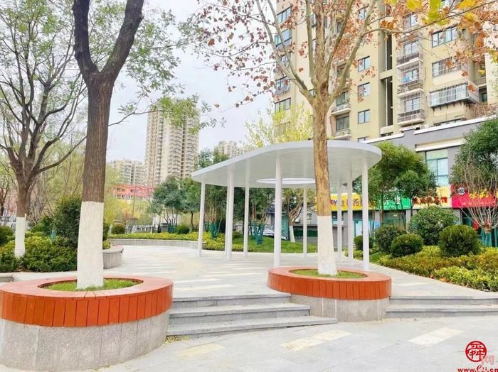 槐荫半马倒计时4天｜玫瑰盛开百合香，最美赛道打造文旅新IP