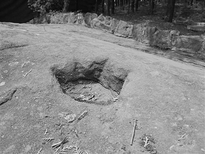 传了千百年的“李存孝打虎处” “人虎足印”原是恐龙留下的！