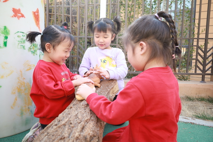 植树节来了，历东花园幼儿园萌娃给春天添一抹绿色