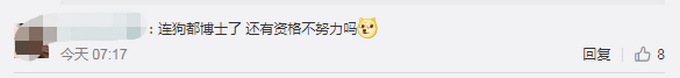 厉害了!8岁治疗犬获博士学位走上狗生巅峰 参加超7500次心理咨询  