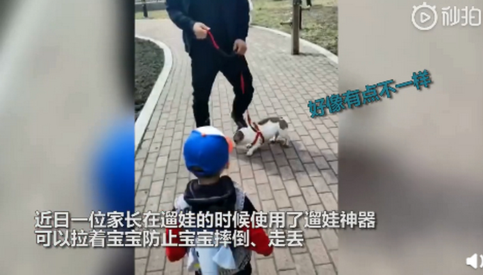 小朋友你是否有很多问号！当遛娃遇到遛狗 接下来的一幕让人哭笑不得