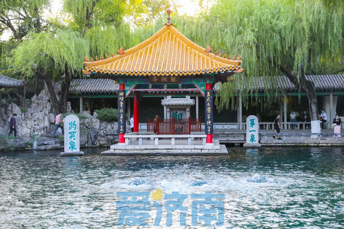 中国生态文明论坛年会缘何“花落”济南？