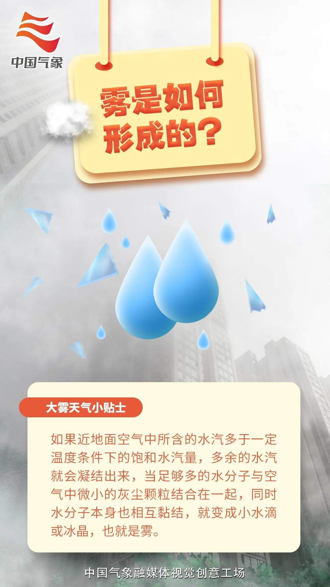 最高级别!中央气象台发布今年首个大雾红色预警