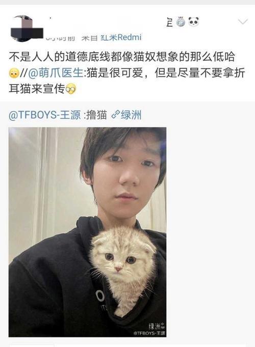 王源因晒猫被骂，周扬青呼吁不养折耳猫