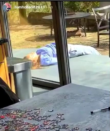 恋情|荷兰弟新恋情官宣！同居数月后高调秀恩爱 都给我把祝福两字打出来