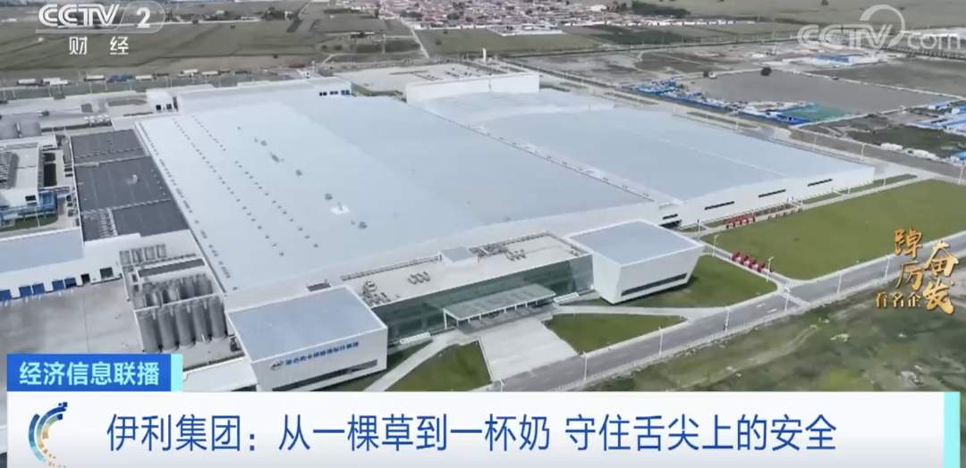 踔厉奋发看名企丨伊利每日下线1亿多份产品!国产奶粉占据近七成线下市场!