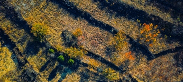 【飞阅泉城】山水相融 彩石秋景美如画