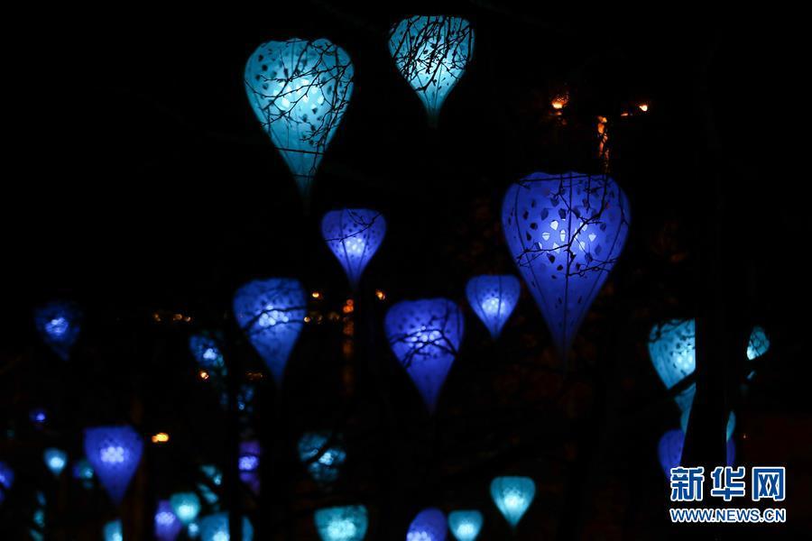 炫彩灯光节“点亮”布鲁塞尔