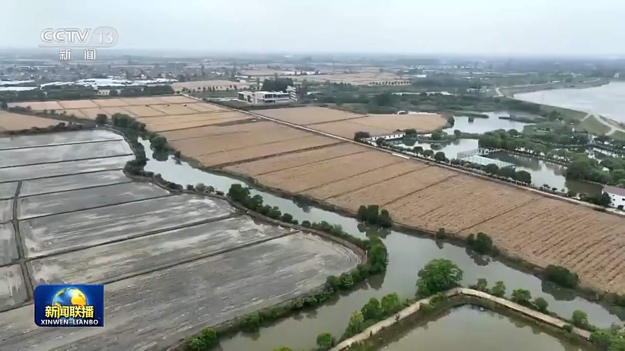 4300多万亩!全国麦收进度超10%