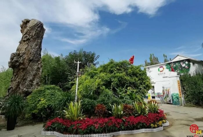 全国劳动模范坐镇的西城高科，8年来为三农创造了哪些惊喜？