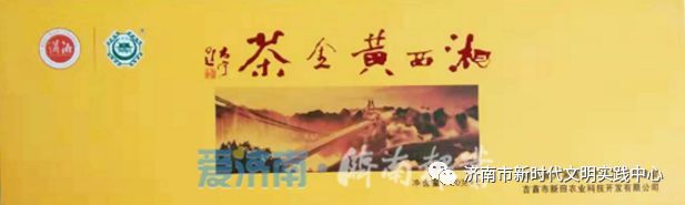 我在湘西种棵树 