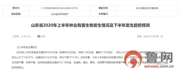 山东下半年林业有害生物预测增加发生面积260万亩