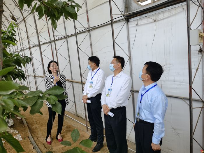 打造北方种业之都正逢其时 “商量”调研济南优势和底气