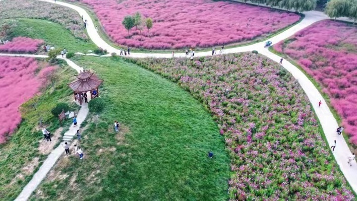 “温泉花卉”盛开“美丽经济”
