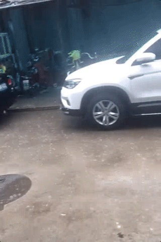 雨雨雨= 多地有大到暴雨