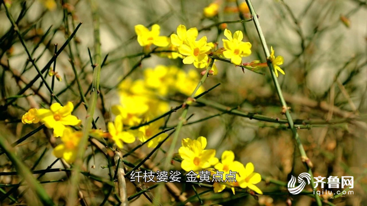         记录平凡丨最“硬核”家庭，一家五口四种职业，全在战疫一线！