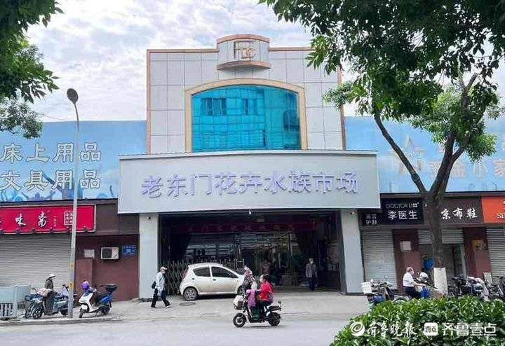 济南人的回忆！老东门重新营业，转型成花卉水族市场