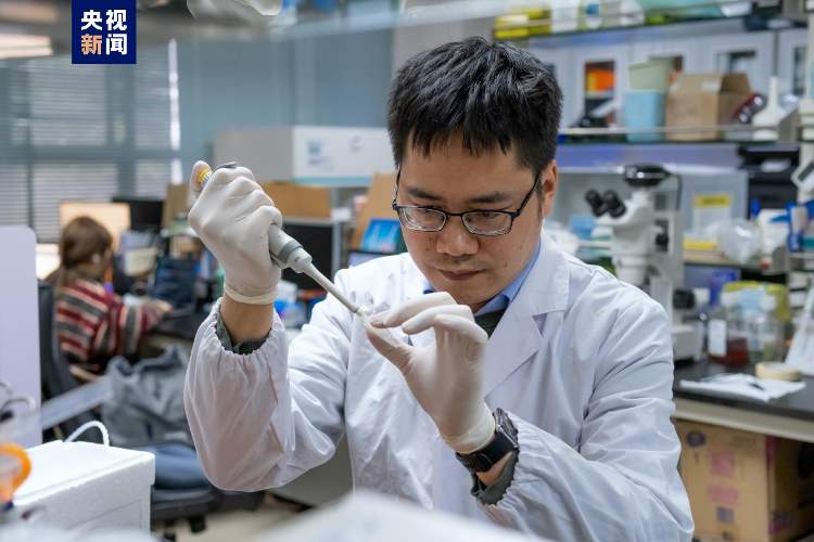 中山大学科研团队发布首个人类肢体发育单细胞时空图谱