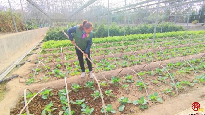 泉水人家于禄海深藏大山20年 拓荒5400亩建“天然氧吧”