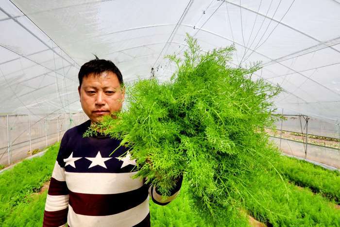 【春耕进行时】回看舜网记者带您走过的这些地方